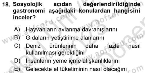 Gastronominin Temelleri Dersi 2023 - 2024 Yılı (Final) Dönem Sonu Sınav Soruları 18. Soru