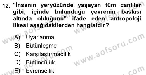 Gastronominin Temelleri Dersi 2023 - 2024 Yılı Yaz Okulu Sınav Soruları 12. Soru