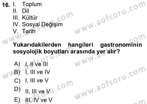 Gastronominin Temelleri Dersi 2023 - 2024 Yılı Yaz Okulu Sınav Soruları 16. Soru