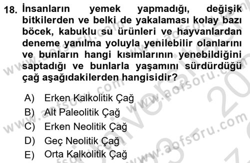 Gastronominin Temelleri Dersi 2023 - 2024 Yılı Yaz Okulu Sınav Soruları 18. Soru