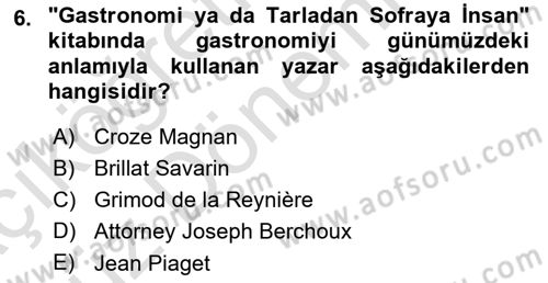 Gastronominin Temelleri Dersi 2024 - 2025 Yılı (Vize) Ara Sınav Soruları 6. Soru