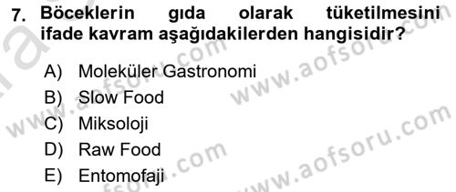 Gastronominin Temelleri Dersi 2024 - 2025 Yılı (Vize) Ara Sınav Soruları 7. Soru
