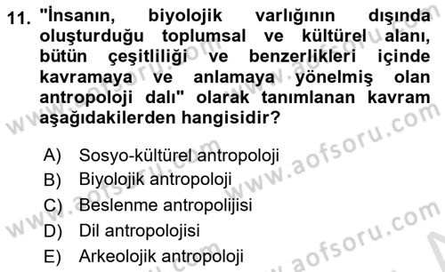 Gastronominin Temelleri Dersi 2024 - 2025 Yılı (Final) Dönem Sonu Sınav Soruları 11. Soru