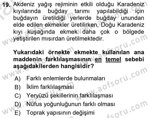 Gastronominin Temelleri Dersi 2024 - 2025 Yılı (Final) Dönem Sonu Sınav Soruları 19. Soru