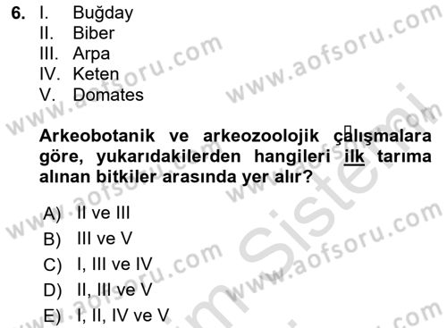 Gastronominin Temelleri Dersi 2024 - 2025 Yılı (Final) Dönem Sonu Sınav Soruları 6. Soru