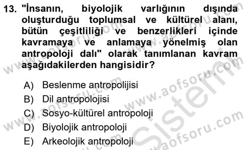 Gastronominin Temelleri Dersi 2024 - 2025 Yılı Yaz Okulu Sınav Soruları 13. Soru