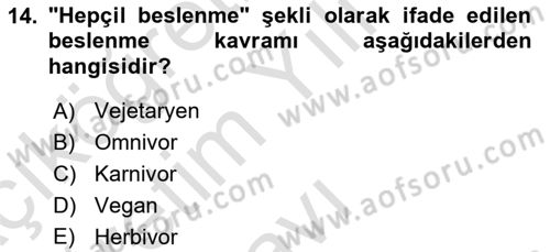 Gastronominin Temelleri Dersi 2024 - 2025 Yılı Yaz Okulu Sınav Soruları 14. Soru