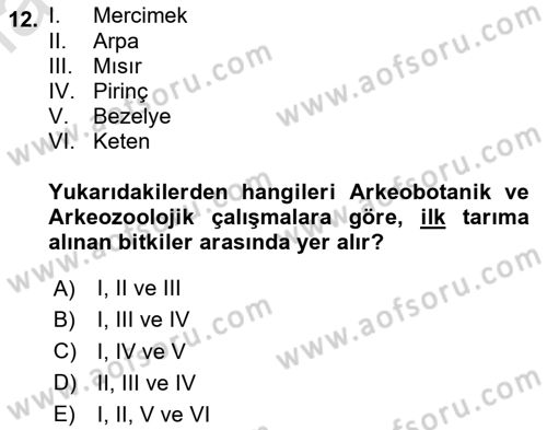 Gastronominin Temelleri Dersi 2025 - 2026 Yılı (Final) Dönem Sonu Sınav Soruları 12. Soru