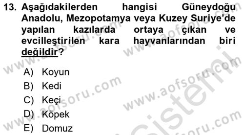 Gastronominin Temelleri Dersi 2025 - 2026 Yılı (Final) Dönem Sonu Sınav Soruları 13. Soru