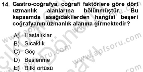 Gastronominin Temelleri Dersi 2025 - 2026 Yılı (Final) Dönem Sonu Sınav Soruları 14. Soru