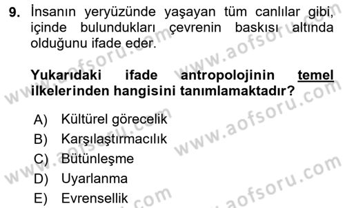 Gastronominin Temelleri Dersi 2025 - 2026 Yılı (Final) Dönem Sonu Sınav Soruları 9. Soru