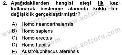Gastronomi Tarihi Dersi 2015 - 2016 Yılı (Vize) Ara Sınav Soruları 2. Soru