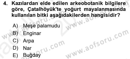 Gastronomi Tarihi Dersi 2015 - 2016 Yılı (Vize) Ara Sınav Soruları 4. Soru