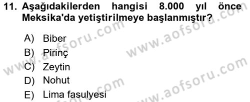 Gastronomi Tarihi Dersi 2016 - 2017 Yılı (Vize) Ara Sınav Soruları 11. Soru