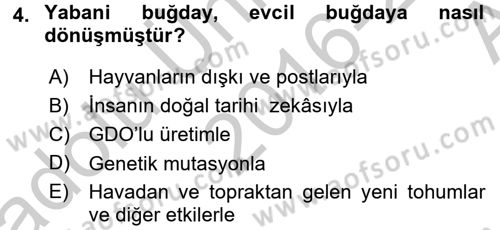 Gastronomi Tarihi Dersi 2016 - 2017 Yılı (Vize) Ara Sınav Soruları 4. Soru
