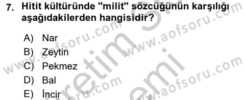 Gastronomi Tarihi Dersi 2016 - 2017 Yılı (Vize) Ara Sınav Soruları 7. Soru