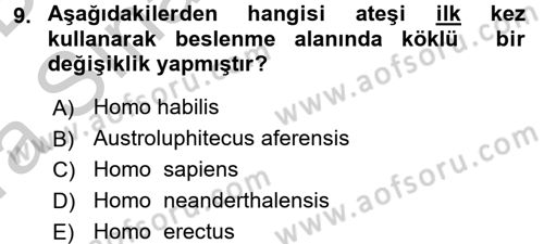 Gastronomi Tarihi Dersi 2016 - 2017 Yılı (Vize) Ara Sınav Soruları 9. Soru