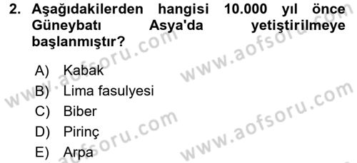 Gastronomi Tarihi Dersi 2016 - 2017 Yılı (Final) Dönem Sonu Sınav Soruları 2. Soru