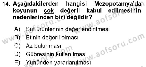 Gastronomi Tarihi Dersi 2017 - 2018 Yılı (Vize) Ara Sınav Soruları 14. Soru