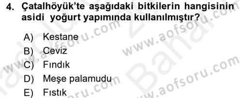Gastronomi Tarihi Dersi 2017 - 2018 Yılı (Vize) Ara Sınav Soruları 4. Soru