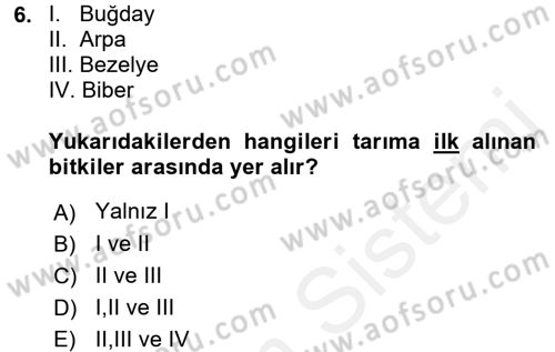 Gastronomi Tarihi Dersi 2017 - 2018 Yılı (Vize) Ara Sınav Soruları 6. Soru