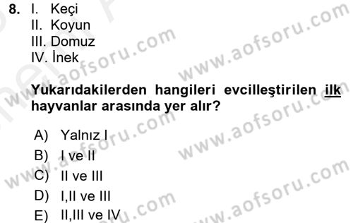 Gastronomi Tarihi Dersi 2017 - 2018 Yılı (Vize) Ara Sınav Soruları 8. Soru