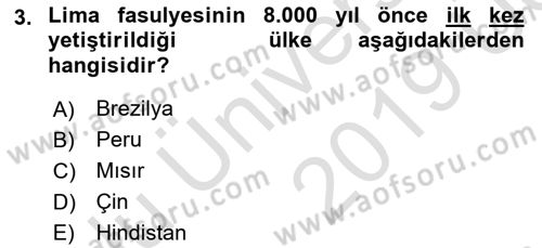 Gastronomi Tarihi Dersi 2018 - 2019 Yılı 3 Ders Sınav Soruları 3. Soru