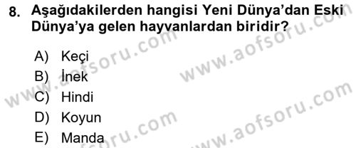 Gastronomi Tarihi Dersi 2018 - 2019 Yılı 3 Ders Sınav Soruları 8. Soru