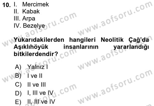 Gastronomi Tarihi Dersi 2018 - 2019 Yılı (Vize) Ara Sınav Soruları 10. Soru