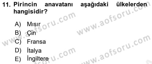 Gastronomi Tarihi Dersi 2018 - 2019 Yılı (Vize) Ara Sınav Soruları 11. Soru