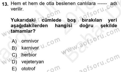 Gastronomi Tarihi Dersi 2018 - 2019 Yılı (Vize) Ara Sınav Soruları 13. Soru