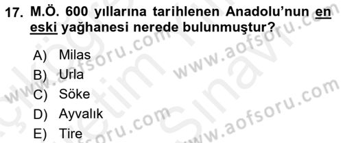 Gastronomi Tarihi Dersi 2018 - 2019 Yılı (Vize) Ara Sınav Soruları 17. Soru