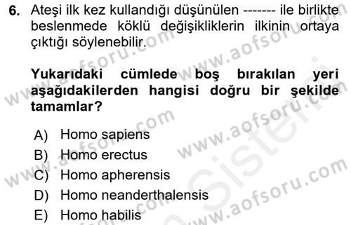 Gastronomi Tarihi Dersi 2018 - 2019 Yılı (Vize) Ara Sınav Soruları 6. Soru