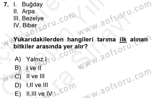 Gastronomi Tarihi Dersi 2018 - 2019 Yılı (Vize) Ara Sınav Soruları 7. Soru