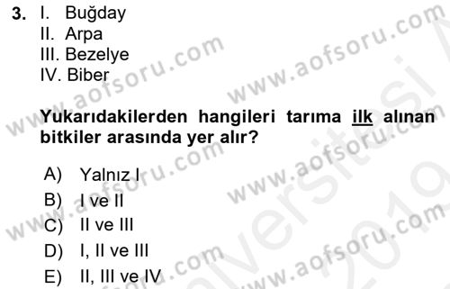Gastronomi Tarihi Dersi 2018 - 2019 Yılı (Final) Dönem Sonu Sınav Soruları 3. Soru