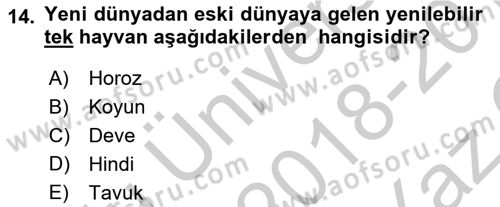 Gastronomi Tarihi Dersi 2018 - 2019 Yılı Yaz Okulu Sınav Soruları 14. Soru