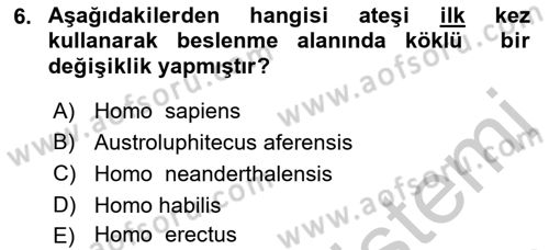 Gastronomi Tarihi Dersi 2018 - 2019 Yılı Yaz Okulu Sınav Soruları 6. Soru