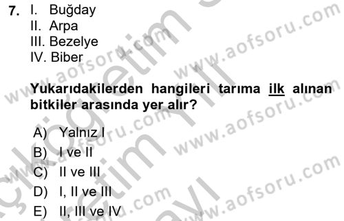 Gastronomi Tarihi Dersi 2018 - 2019 Yılı Yaz Okulu Sınav Soruları 7. Soru