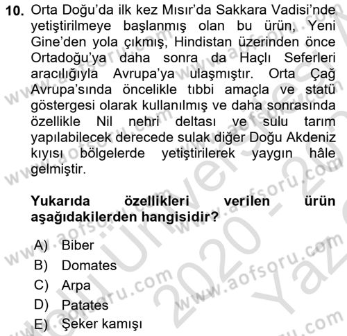 Gastronomi Tarihi Dersi 2020 - 2021 Yılı Yaz Okulu Sınav Soruları 10. Soru