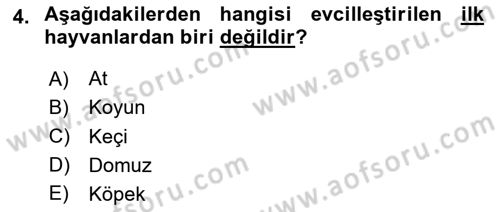 Gastronomi Tarihi Dersi 2020 - 2021 Yılı Yaz Okulu Sınav Soruları 4. Soru