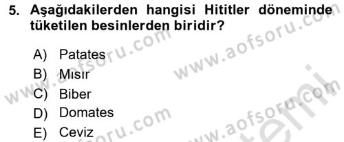 Gastronomi Tarihi Dersi 2020 - 2021 Yılı Yaz Okulu Sınav Soruları 5. Soru