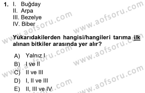 Gastronomi Tarihi Dersi 2021 - 2022 Yılı (Vize) Ara Sınav Soruları 1. Soru