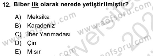 Gastronomi Tarihi Dersi 2021 - 2022 Yılı (Vize) Ara Sınav Soruları 12. Soru