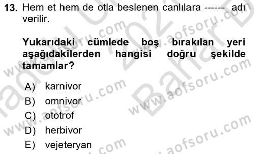 Gastronomi Tarihi Dersi 2021 - 2022 Yılı (Vize) Ara Sınav Soruları 13. Soru
