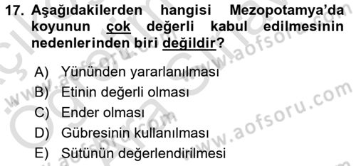 Gastronomi Tarihi Dersi 2021 - 2022 Yılı (Vize) Ara Sınav Soruları 17. Soru