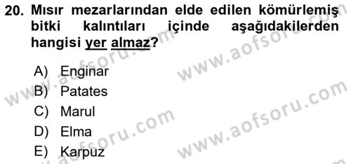 Gastronomi Tarihi Dersi 2021 - 2022 Yılı (Vize) Ara Sınav Soruları 20. Soru
