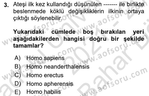 Gastronomi Tarihi Dersi 2021 - 2022 Yılı (Vize) Ara Sınav Soruları 3. Soru