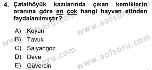 Gastronomi Tarihi Dersi 2021 - 2022 Yılı (Vize) Ara Sınav Soruları 4. Soru