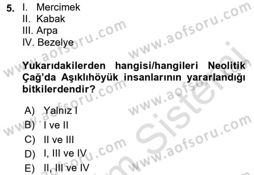 Gastronomi Tarihi Dersi 2021 - 2022 Yılı (Vize) Ara Sınav Soruları 5. Soru