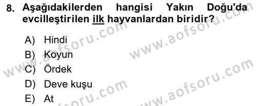 Gastronomi Tarihi Dersi 2021 - 2022 Yılı (Vize) Ara Sınav Soruları 8. Soru
